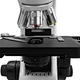 Trinocular Biological Microscope